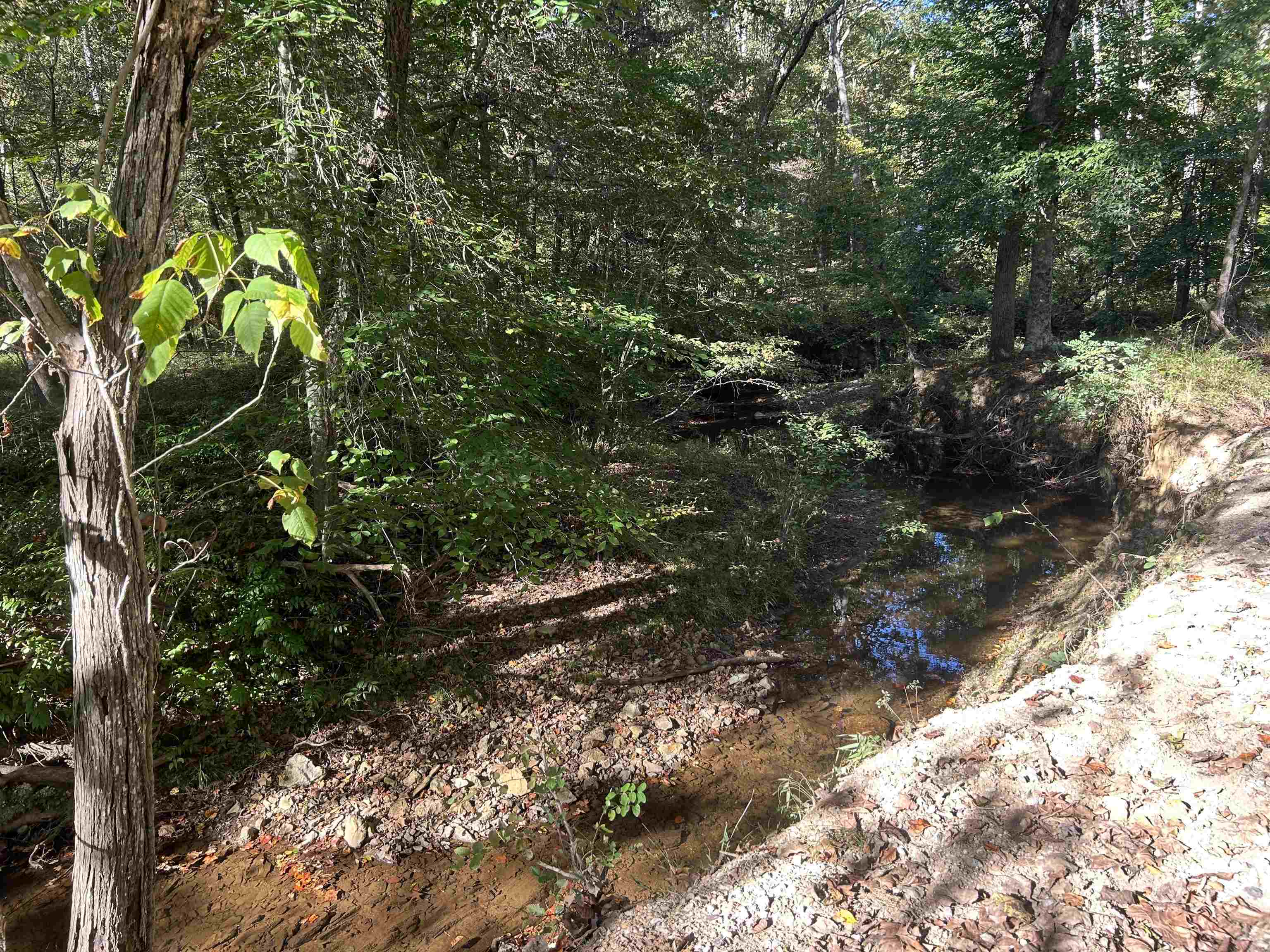 994 Chestnut Ridge Road Gaffney, SC 29340 - Photo 17 of 23