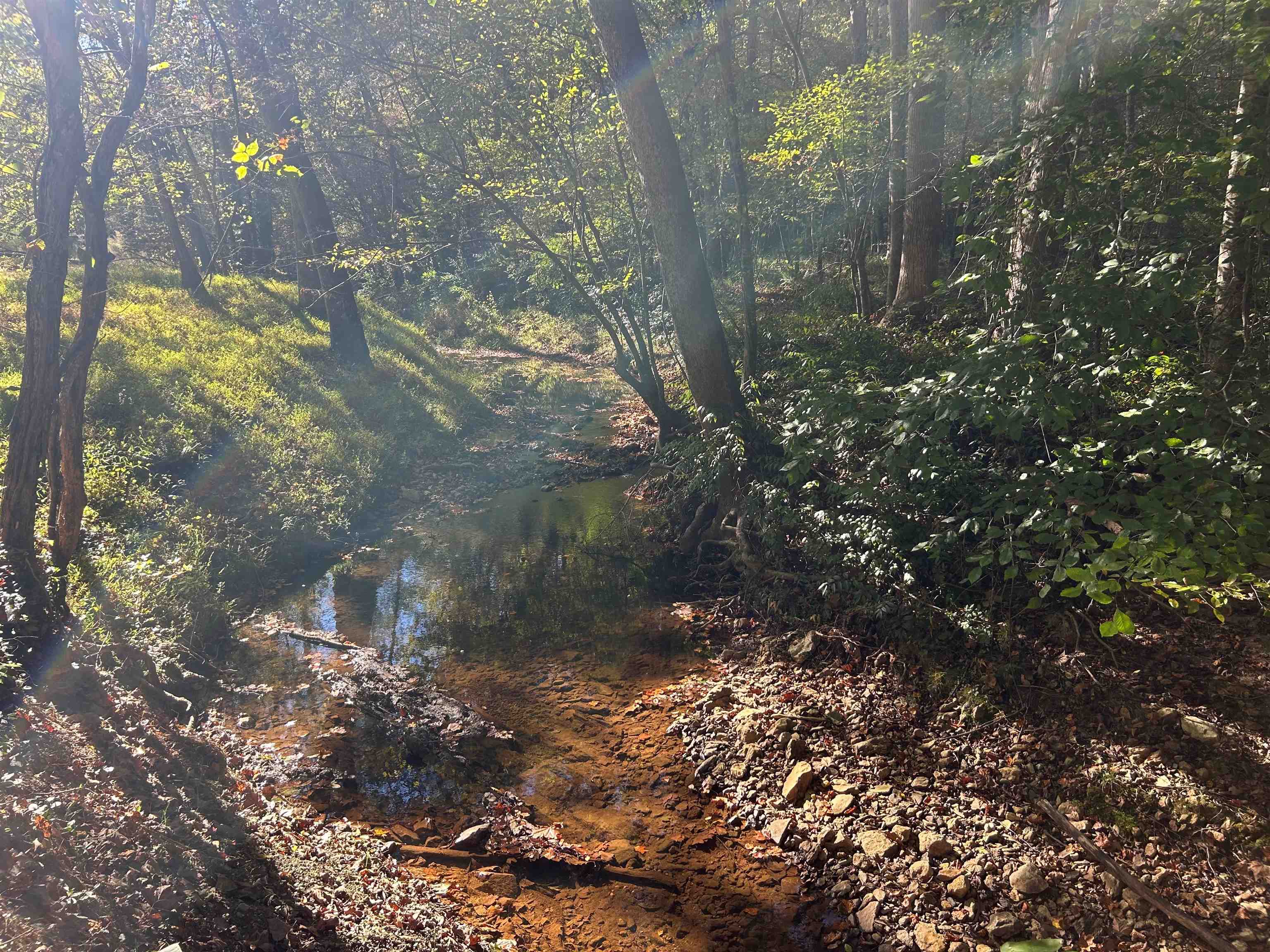 994 Chestnut Ridge Road Gaffney, SC 29340 - Photo 18 of 23