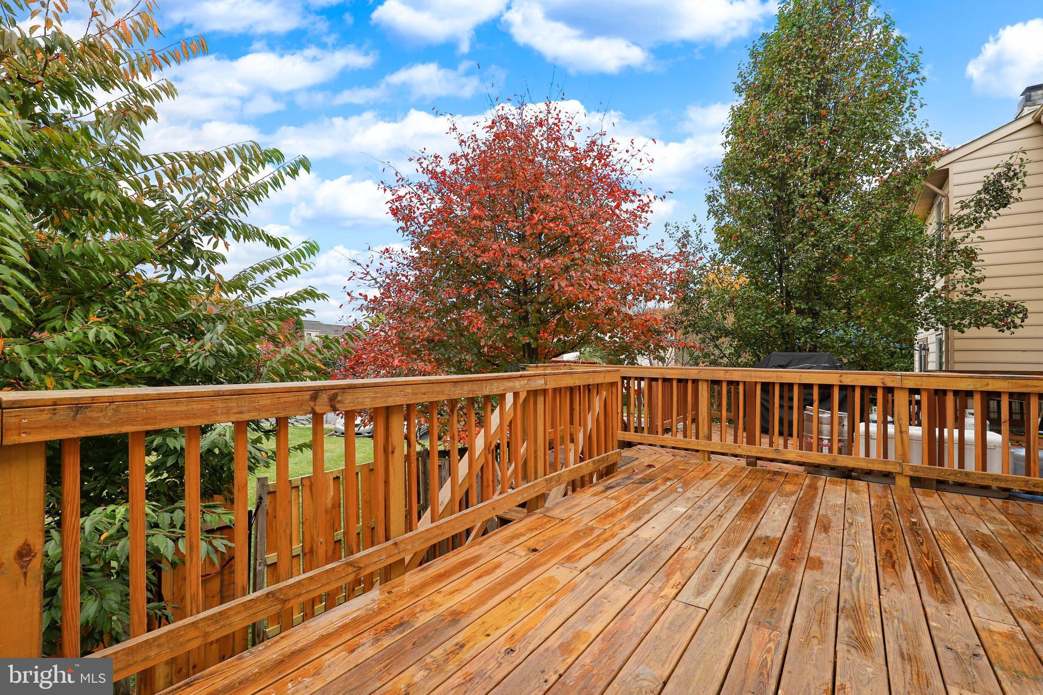 13958 Winding Ridge Lane Centreville, VA 20121 - Photo 37 of 48 Gallery Image 37