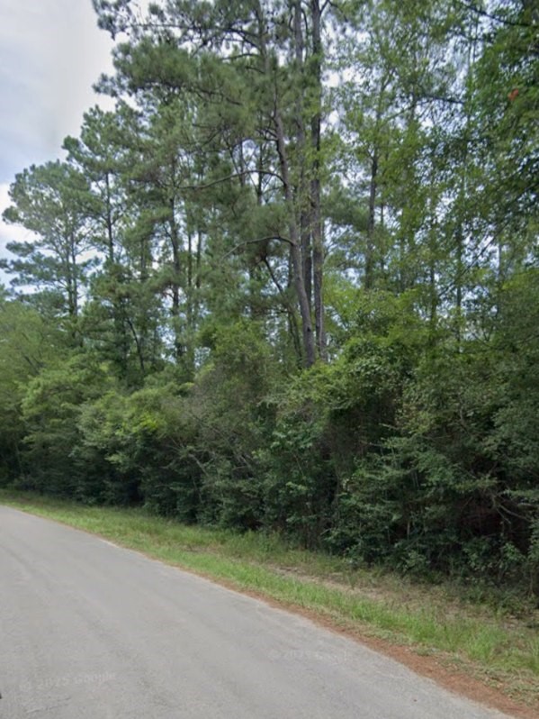 30569 Lake Road Waller, TX 77484 - Photo 2 of 48 a view of a yard with a trees
