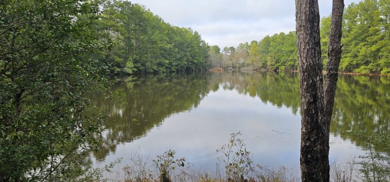 30569 Lake Road Waller, TX 77484 - Photo 21 of 48 Peninsula of heart felt and shaped waters.