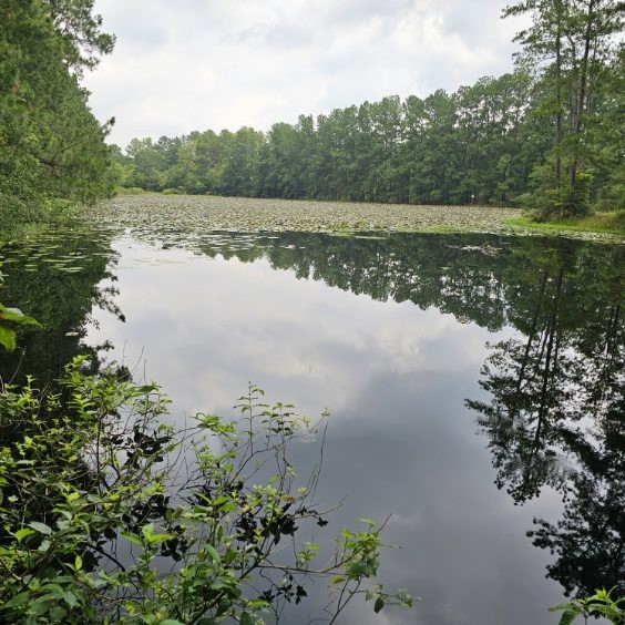 30569 Lake Road Waller, TX 77484 - Photo 25 of 48 a view of a lake with a lake
