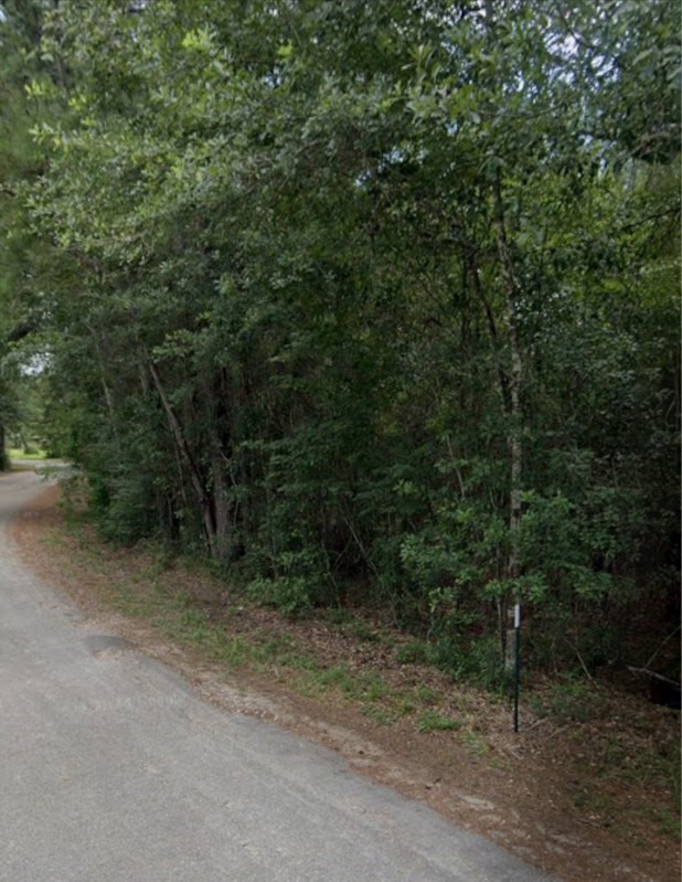 30569 Lake Road Waller, TX 77484 - Photo 28 of 48 a view of a forest with a trees