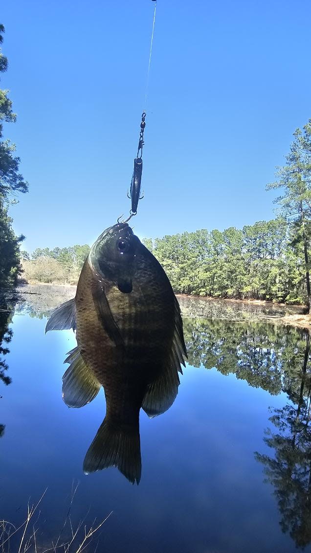 30569 Lake Road Waller, TX 77484 - Photo 3 of 48 Enjoy catchng for bass, catfish, perch or w.atching the turtles sunbathe