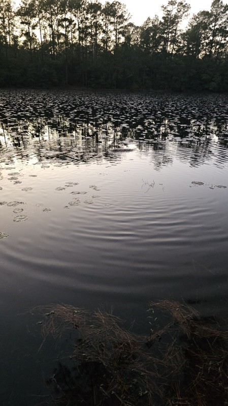 30569 Lake Road Waller, TX 77484 - Photo 32 of 48 Quiet is most welcoming.