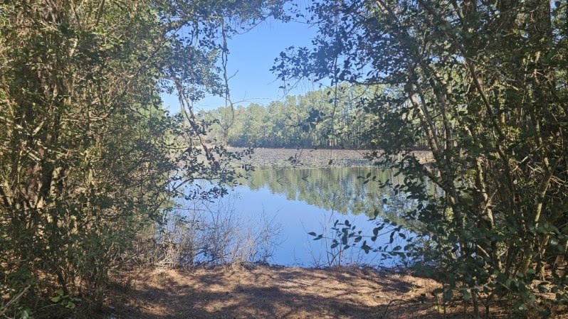 30569 Lake Road Waller, TX 77484 - Photo 42 of 48 a view of a lake from a yard