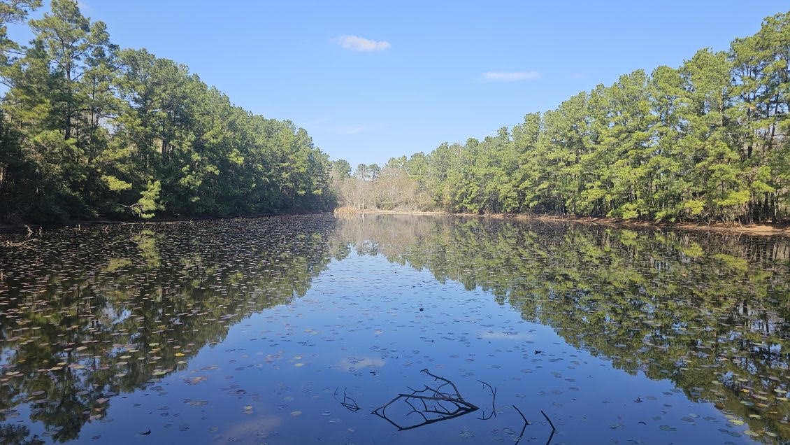 30569 Lake Road Waller, TX 77484 - Photo 43 of 48