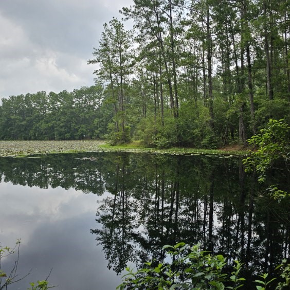 30569 Lake Road Waller, TX 77484 - Photo 5 of 48 a view of lake with green space