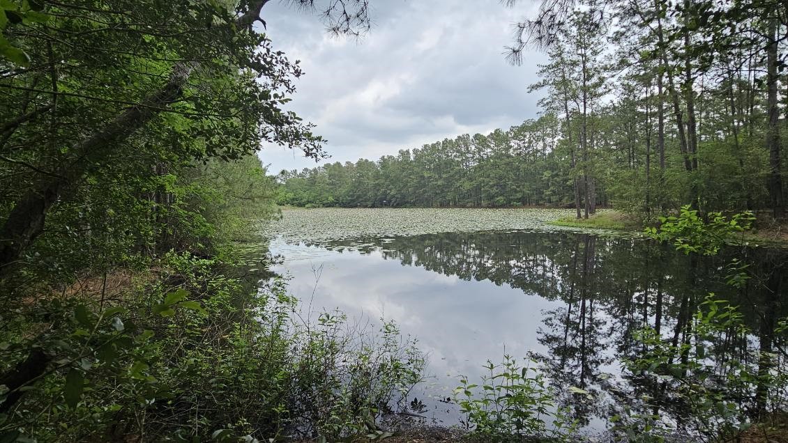 30569 Lake Road Waller, TX 77484 - Photo 10 of 48 a view of a lake with trees in front of it