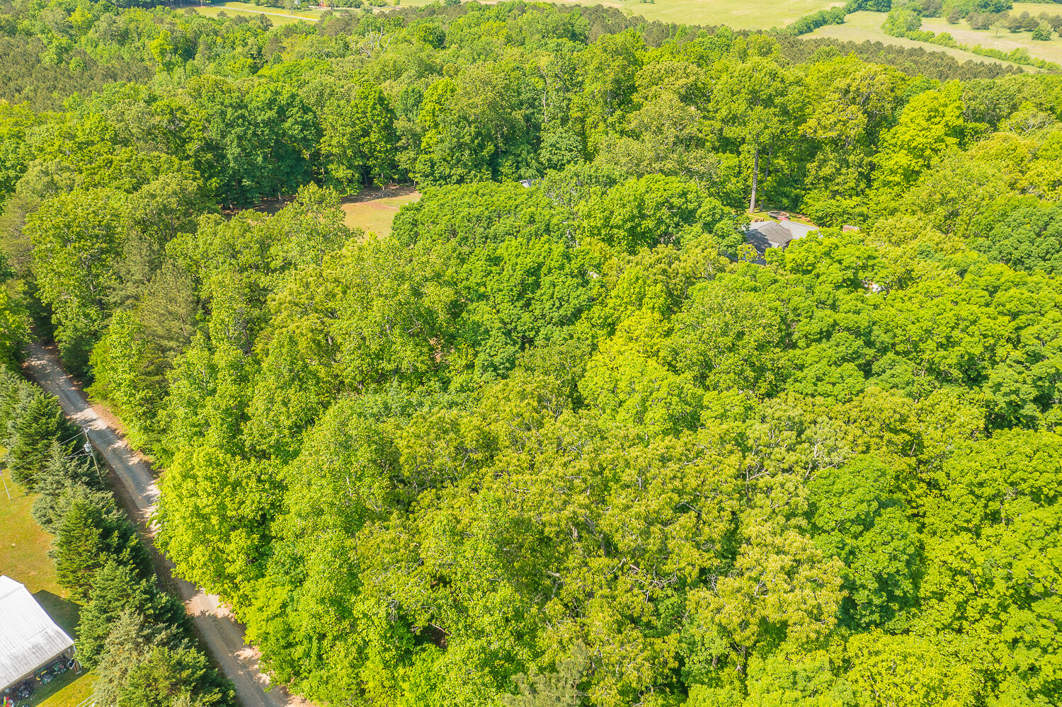 108 Hollyhock Lane Rock Spring, GA 30739 - Photo 42 of 85 108 Hollyhock Aerials HD -2