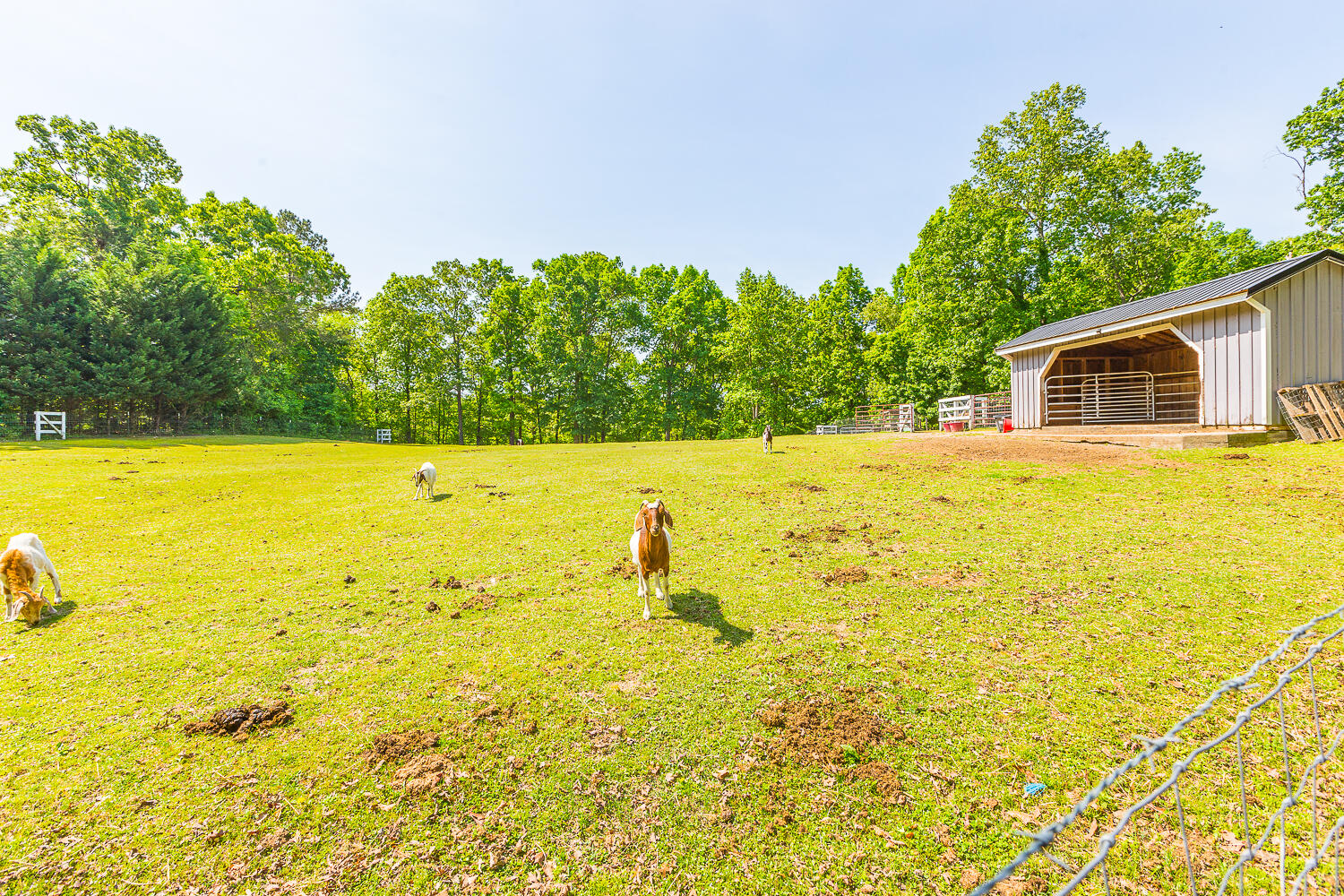 108 Hollyhock Lane Rock Spring, GA 30739 - Photo 52 of 85 108 Hollyhock HD -9