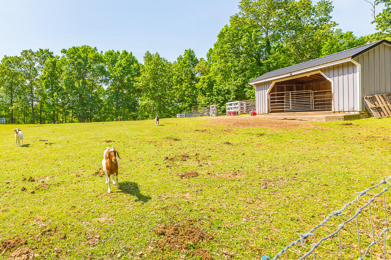 108 Hollyhock Lane Rock Spring, GA 30739 - Photo 53 of 85 108 Hollyhock HD -10