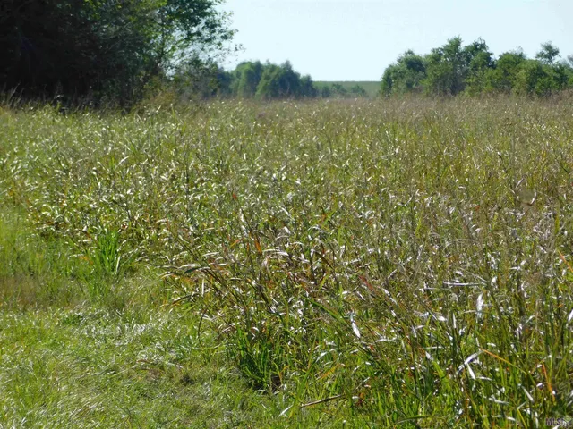 $75,000 | 3235 Cut Off Cut Off La, Cut Off, LA 70345