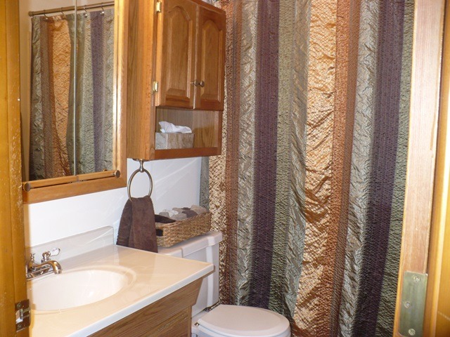 1230 Springdale Drive Rochelle, IL 61068 - Photo 12 of 22 a bathroom with a sink toilet and shower