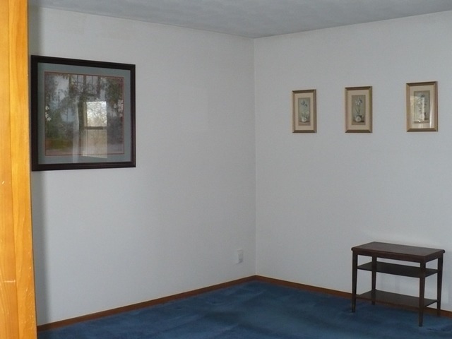1230 Springdale Drive Rochelle, IL 61068 - Photo 14 of 22 a room with window and a painting on the wall