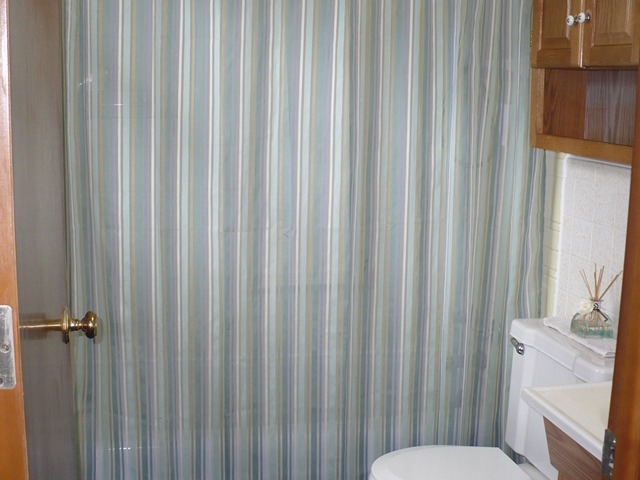 1230 Springdale Drive Rochelle, IL 61068 - Photo 15 of 22 a bathroom with a toilet and a sink