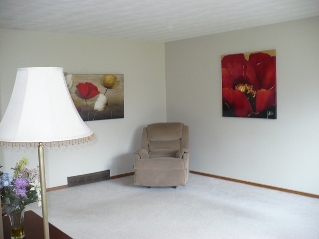 1230 Springdale Drive Rochelle, IL 61068 - Photo 4 of 22 a living room with furniture and a lamp