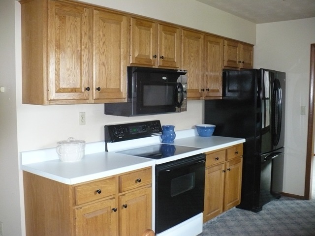 1230 Springdale Drive Rochelle, IL 61068 - Photo 5 of 22 a kitchen with a sink and a refrigerator