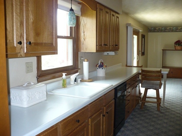 1230 Springdale Drive Rochelle, IL 61068 - Photo 7 of 22 a kitchen with a sink a counter top space and cabinets
