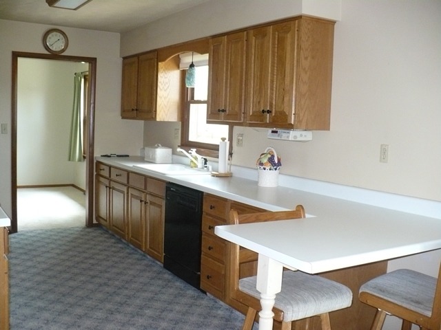 1230 Springdale Drive Rochelle, IL 61068 - Photo 8 of 22 a kitchen with a sink cabinets and wooden floor