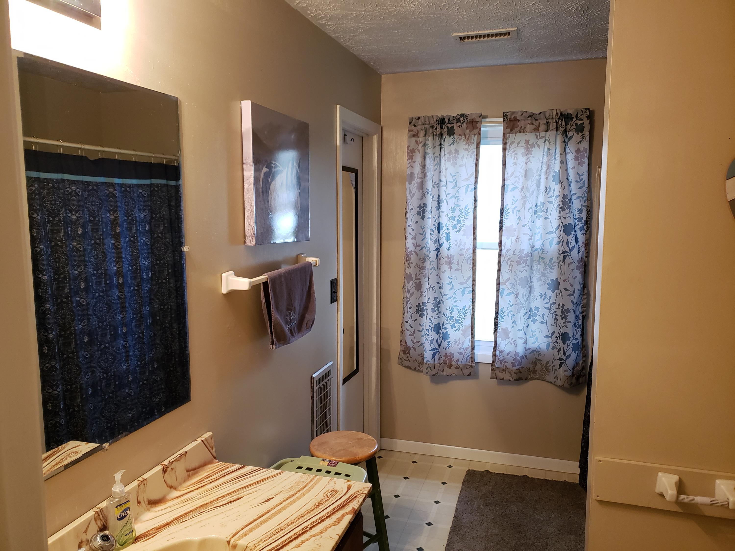 147 Spring Street Hampton, TN 37658 - Photo 27 of 53 20200119_154744