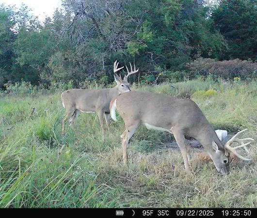 $827,000 | 15017 Botkin Road, Centerville, KS 66014