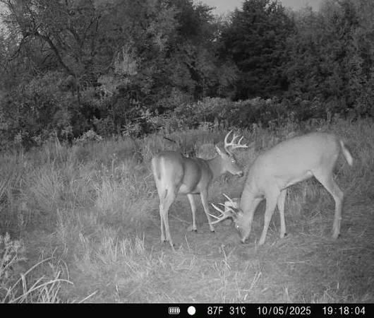 $827,000 | 15017 Botkin Road, Centerville, KS 66014