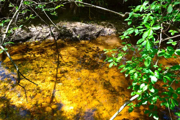 $483,750 | 5659 State Rd S-28-31, Kershaw, SC 29067