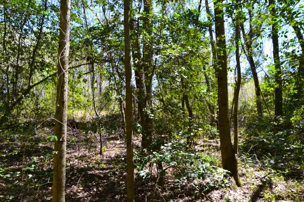 $483,750 | 5659 State Rd S-28-31, Kershaw, SC 29067