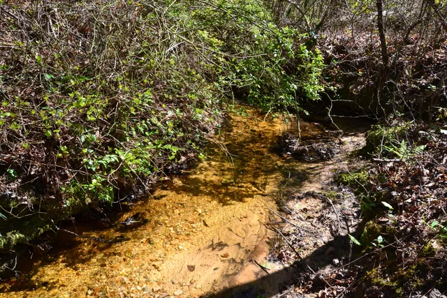 $483,750 | 5659 State Rd S-28-31, Kershaw, SC 29067