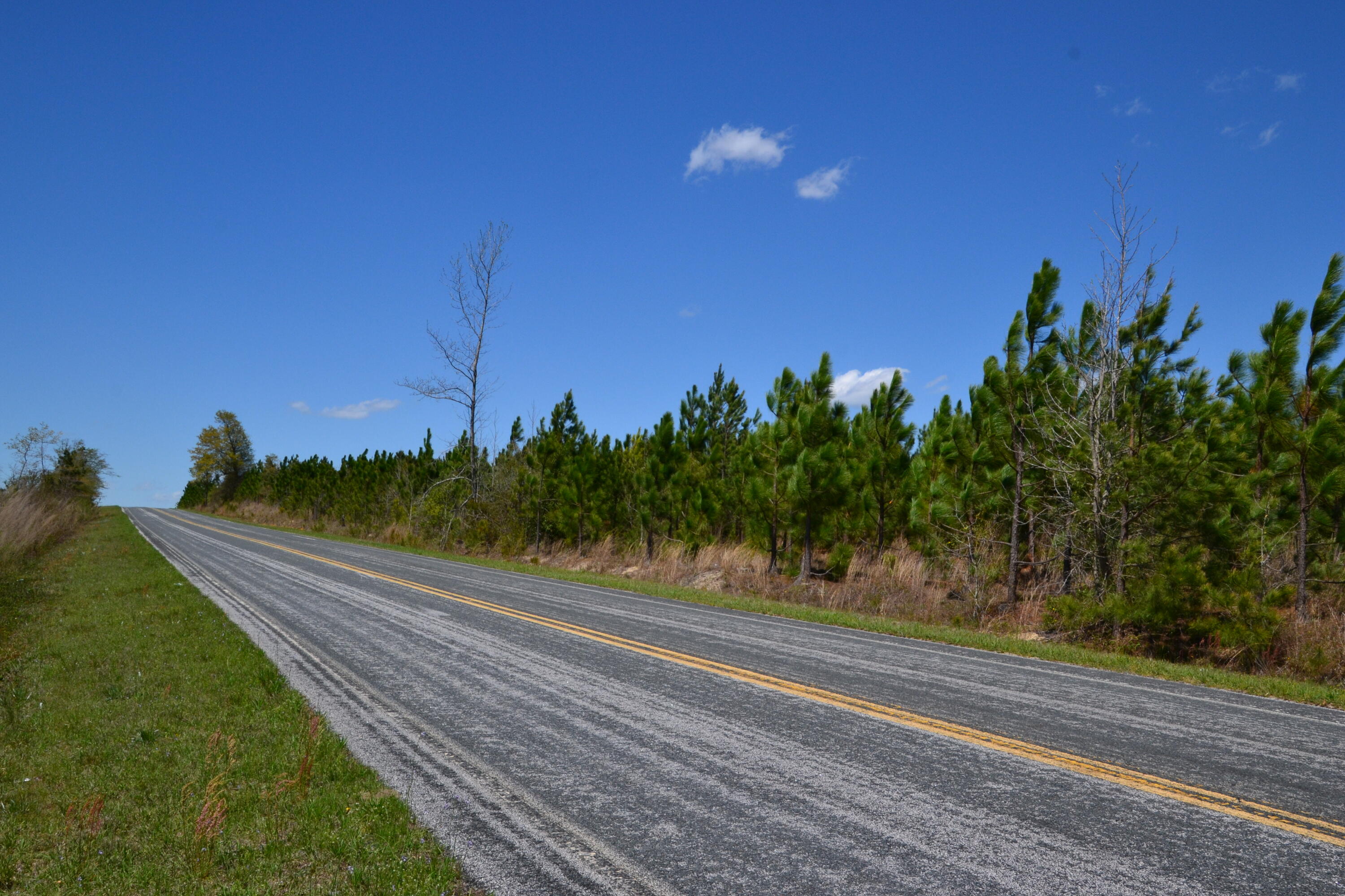 5659 State Rd S-28-31 Kershaw, SC 29067 - Photo 14 of 25 DSC_1725