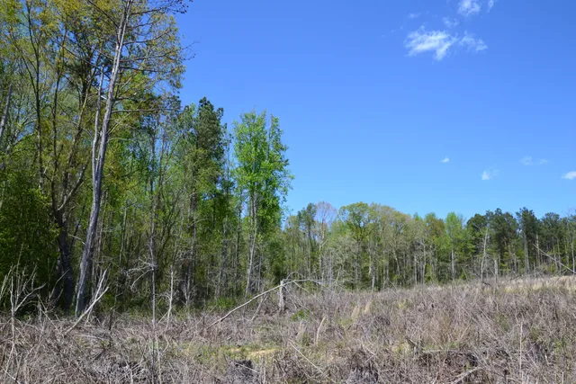 $483,750 | 5659 State Rd S-28-31, Kershaw, SC 29067