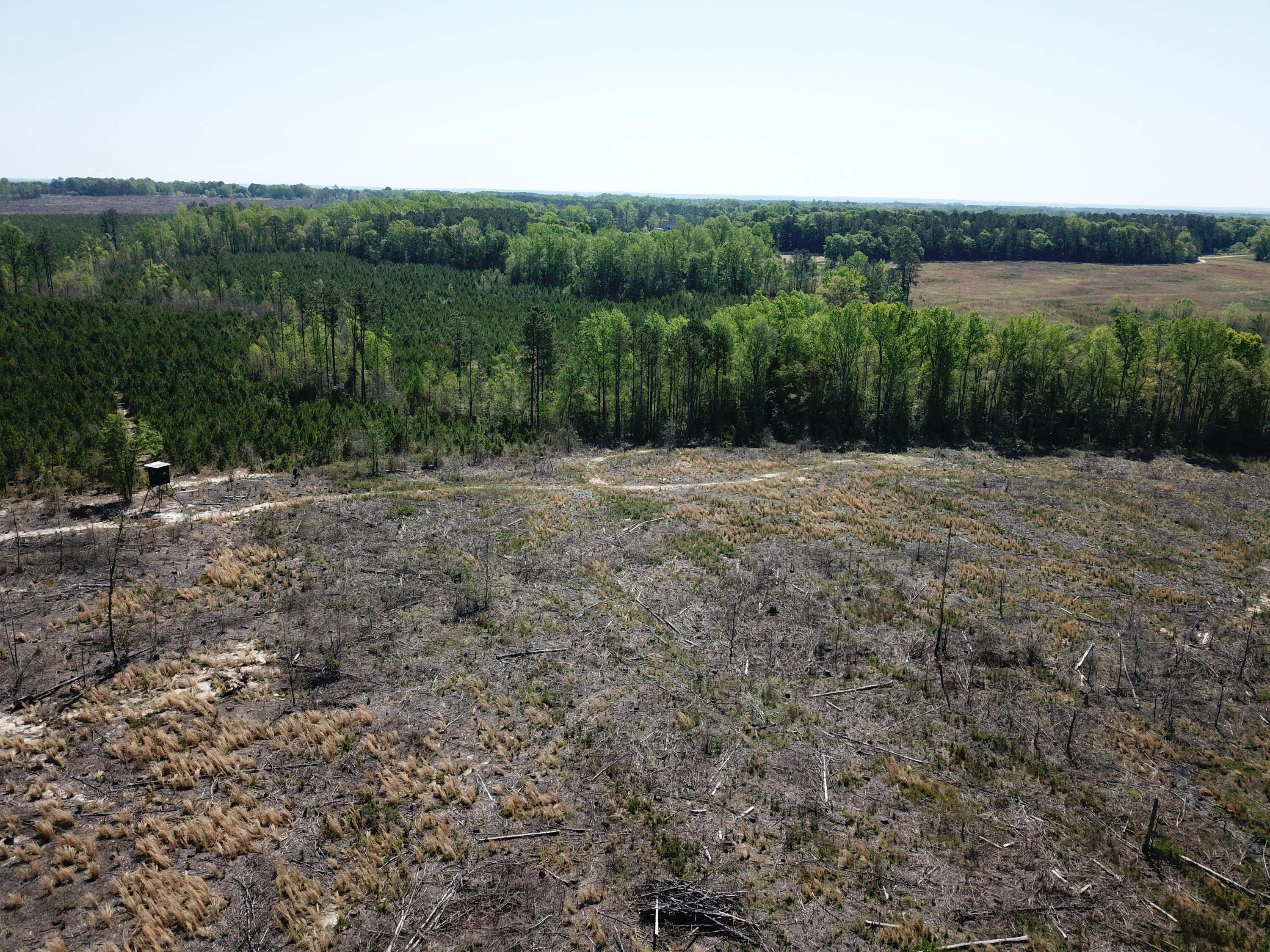 5659 State Rd S-28-31 Kershaw, SC 29067 - Photo 2 of 25 DJI_0049