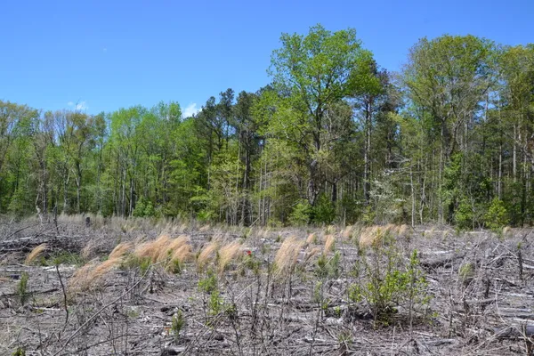 $483,750 | 5659 State Rd S-28-31, Kershaw, SC 29067