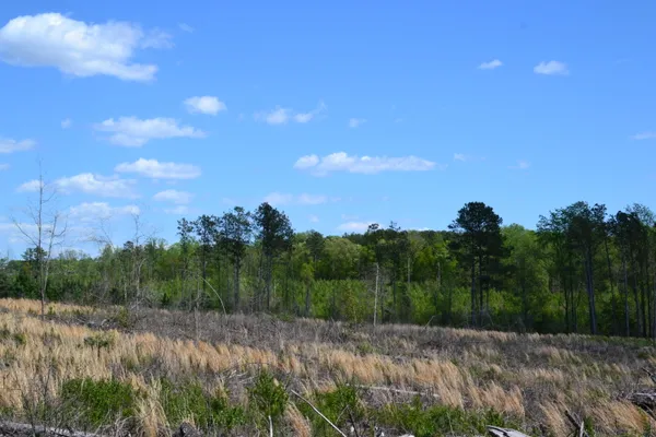 $483,750 | 5659 State Rd S-28-31, Kershaw, SC 29067