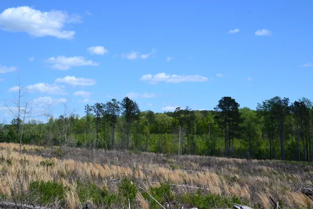 $483,750 | 5659 State Rd S-28-31, Kershaw, SC 29067