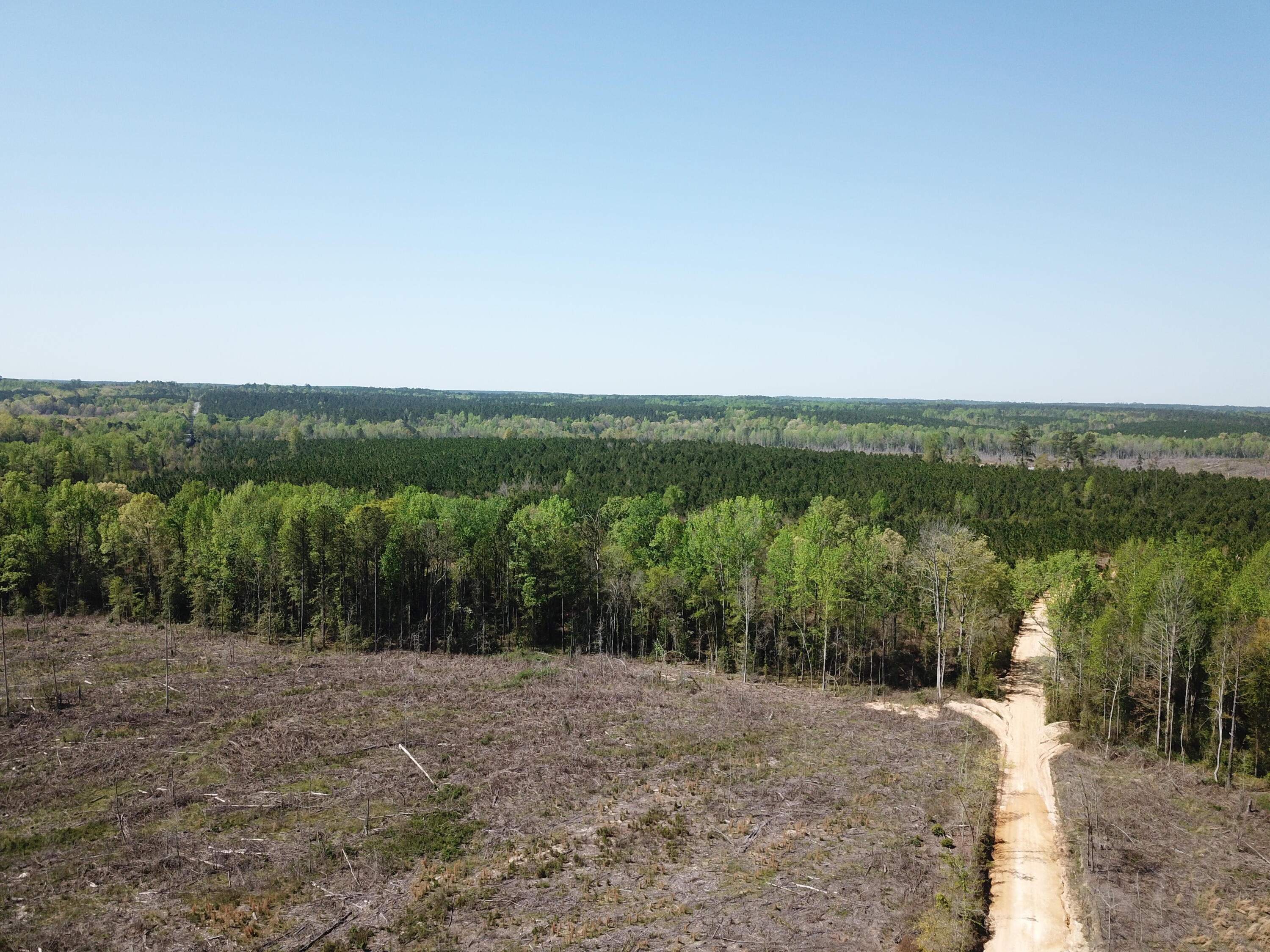 5659 State Rd S-28-31 Kershaw, SC 29067 - Photo 3 of 25 DJI_0051