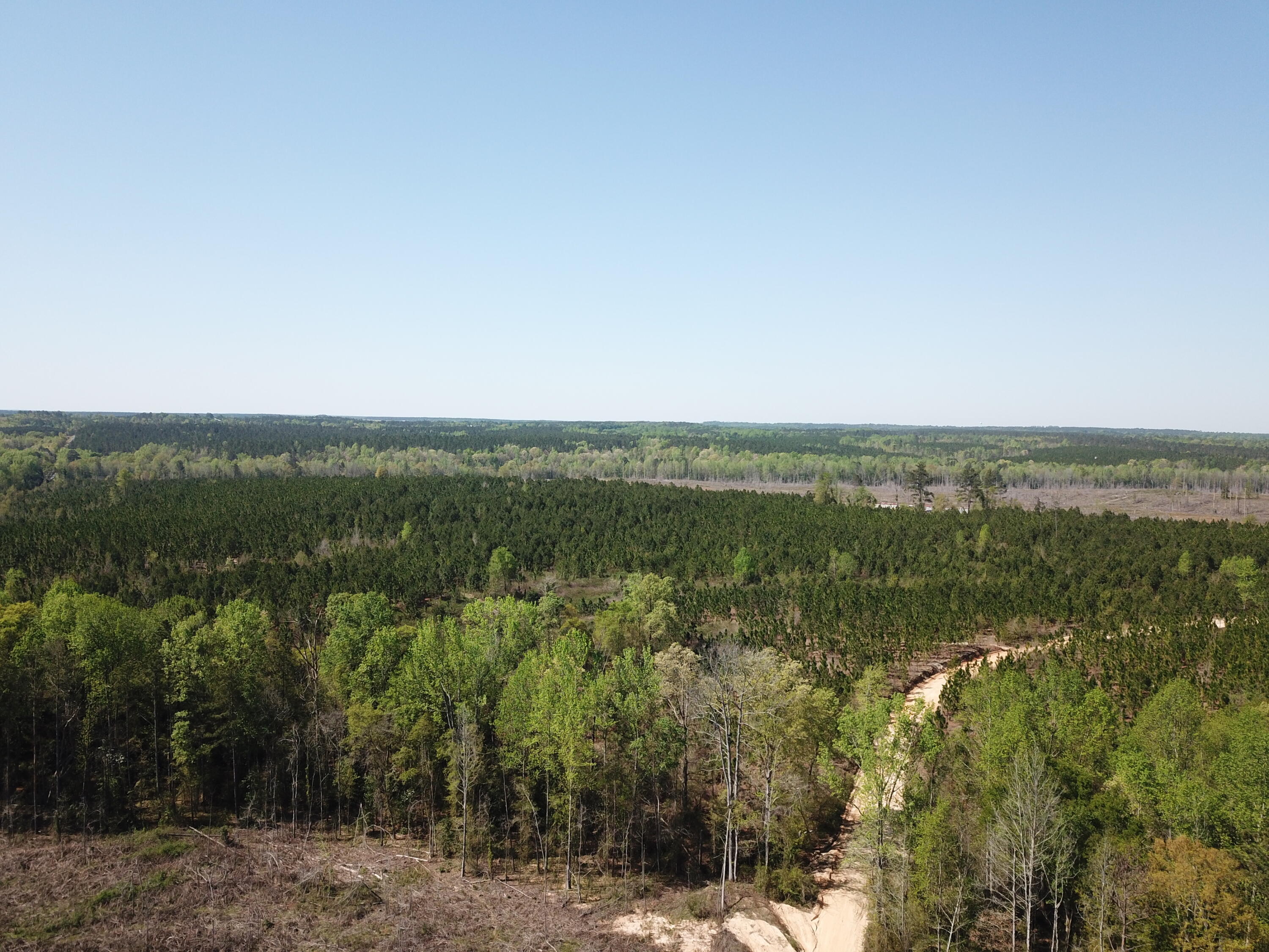 5659 State Rd S-28-31 Kershaw, SC 29067 - Photo 4 of 25 DJI_0053