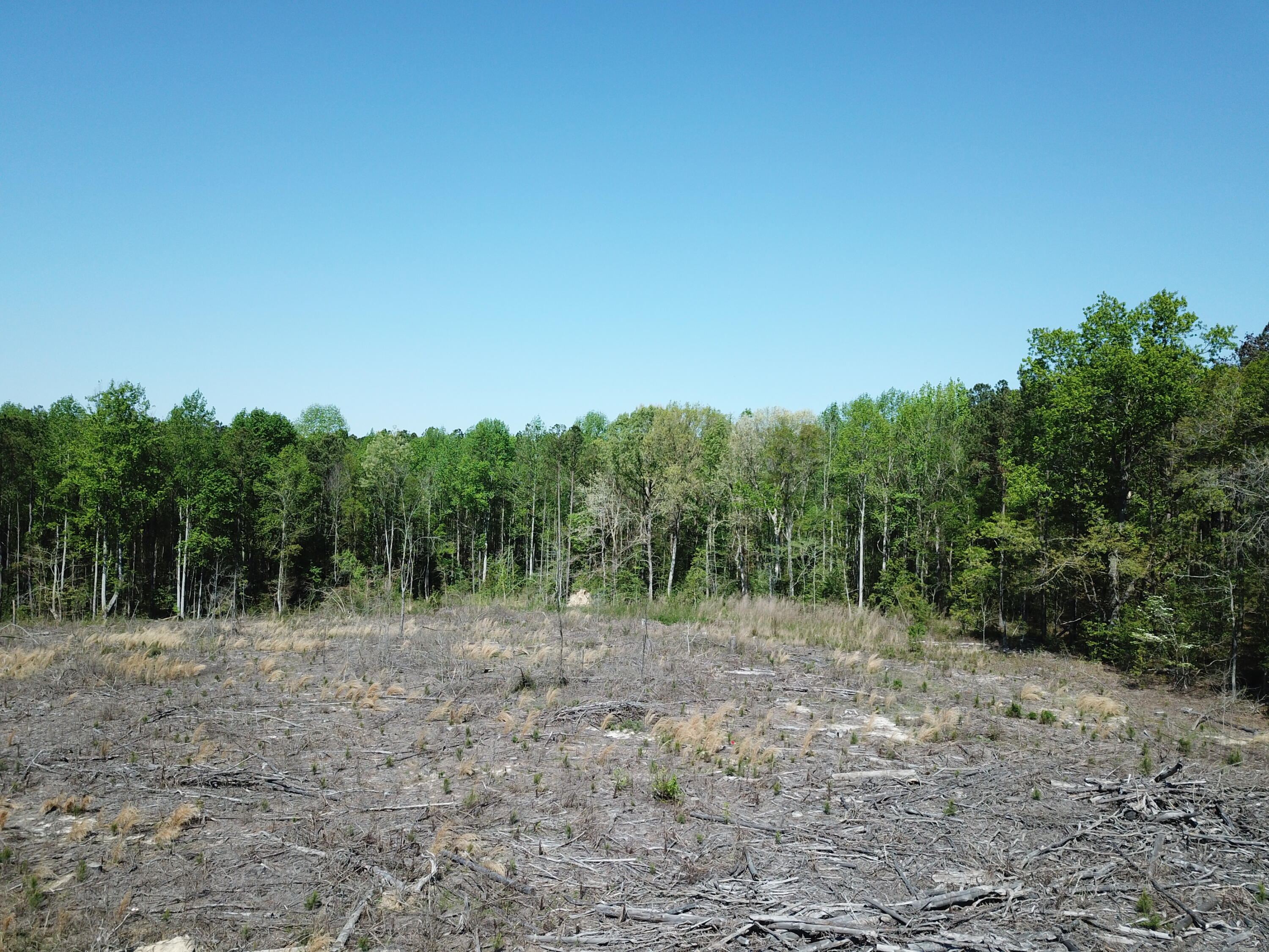 5659 State Rd S-28-31 Kershaw, SC 29067 - Photo 7 of 25 DJI_0100