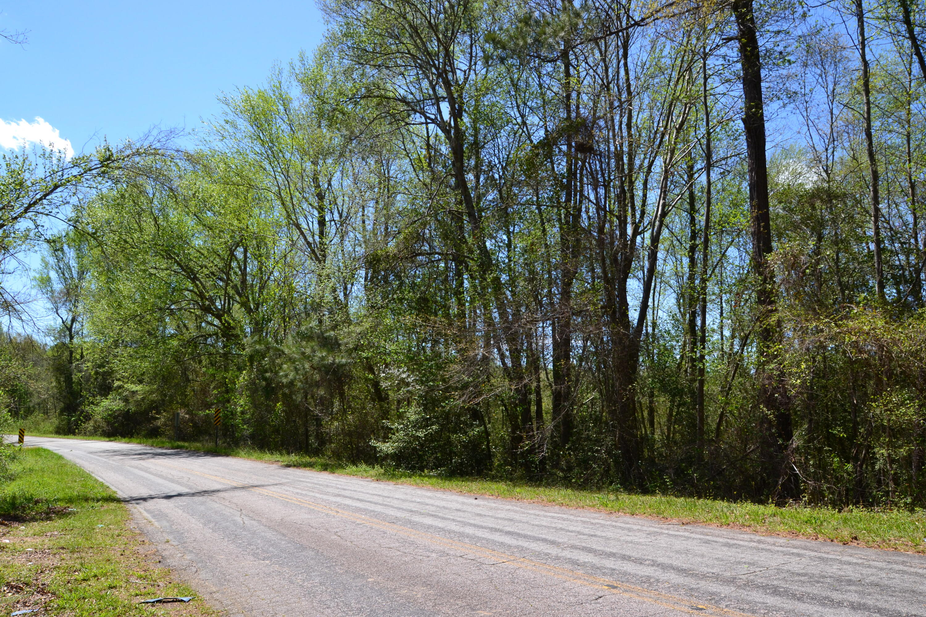 5659 State Rd S-28-31 Kershaw, SC 29067 - Photo 9 of 25 DSC_1718
