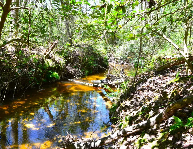 $483,750 | 5659 State Rd S-28-31, Kershaw, SC 29067