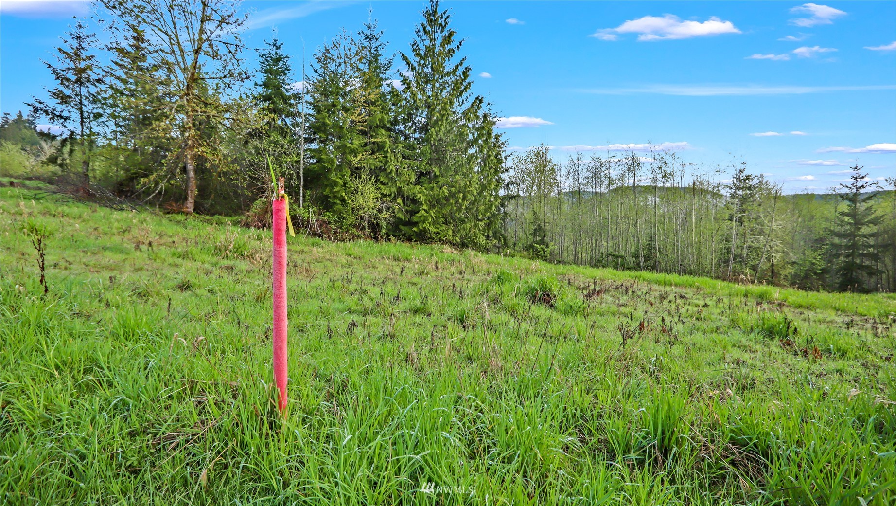 3247 McElfresh Road Southwest Centralia, WA 98531 - Photo 13 of 13 Gallery Image 13