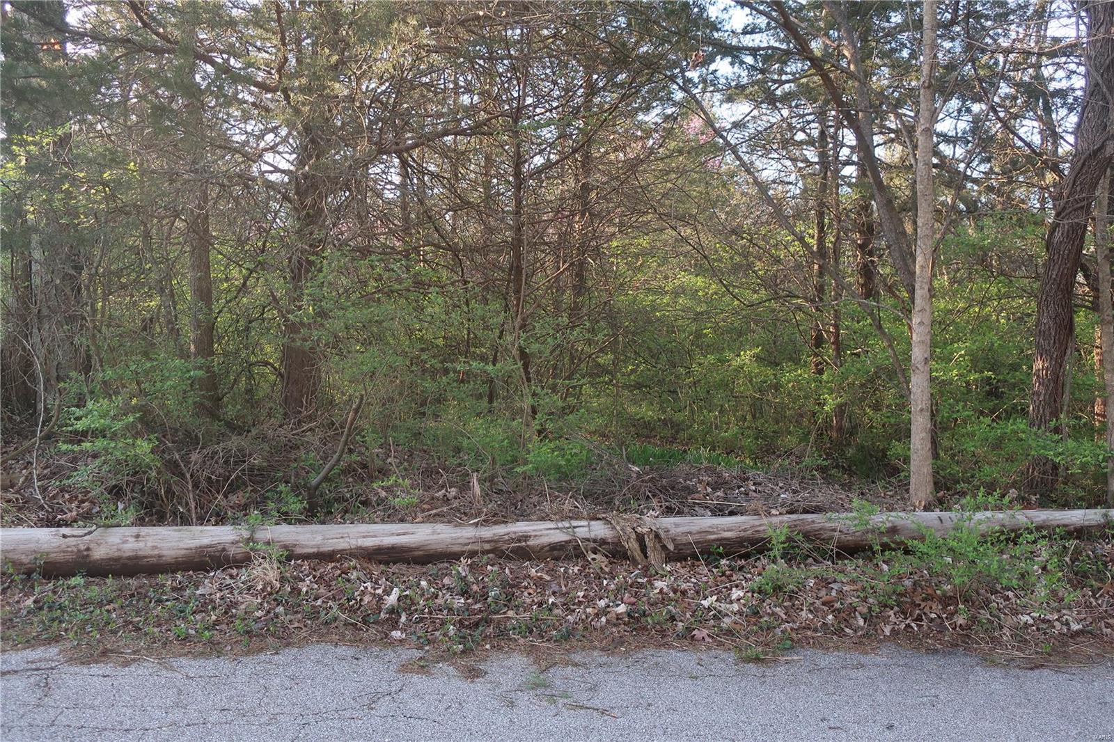 Undisclosed Address Cedar Hill, MO 63016 - Photo 2 of 7