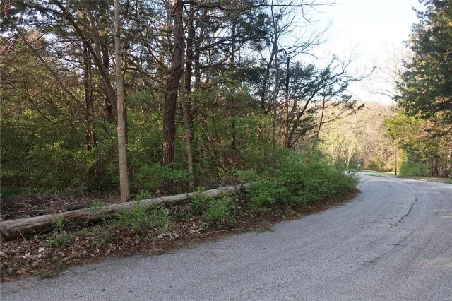 $20,000 | Undisclosed Address, Cedar Hill, MO 63016