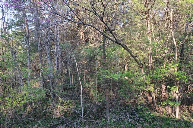 $20,000 | Undisclosed Address, Cedar Hill, MO 63016