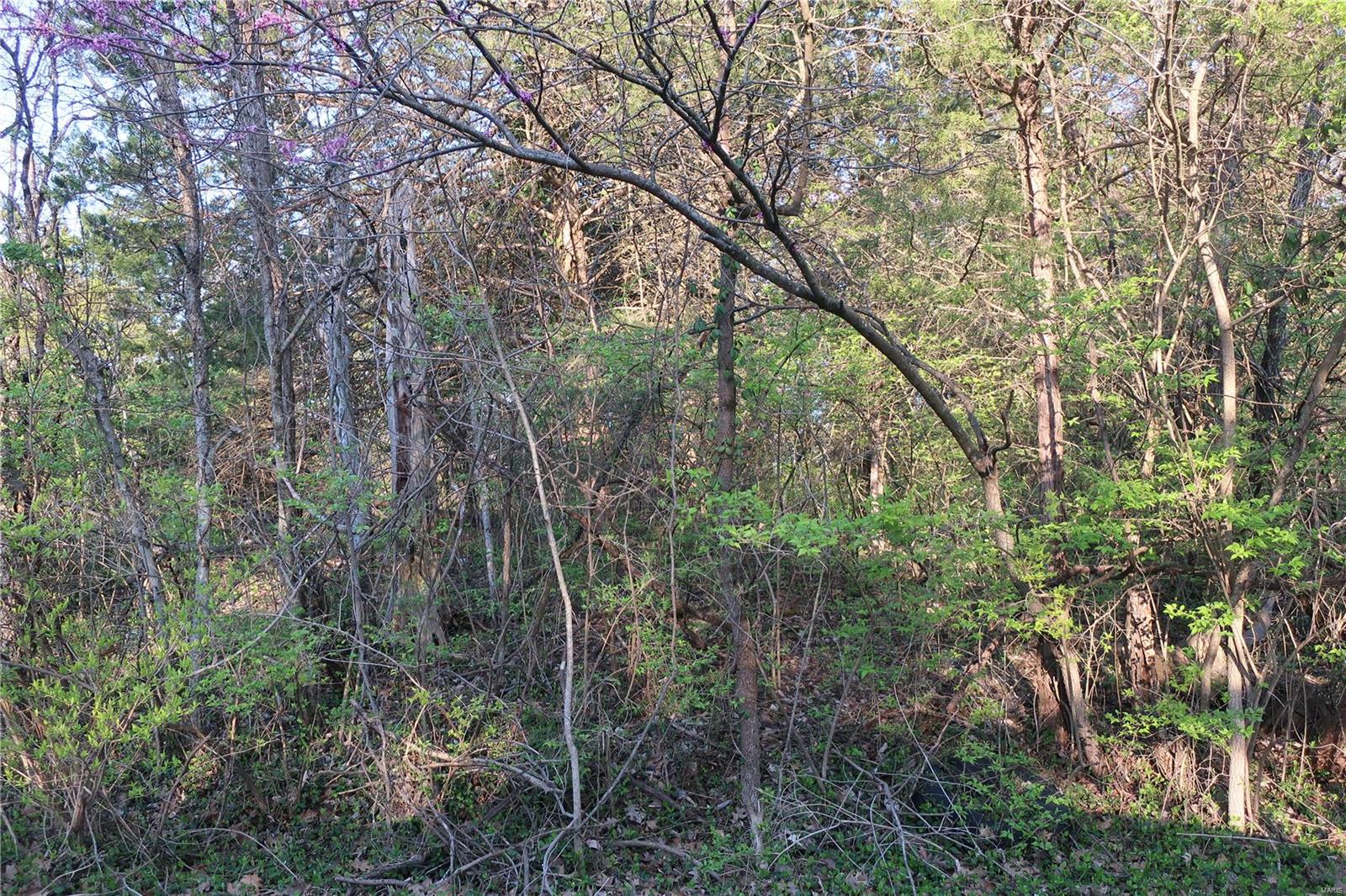 Undisclosed Address Cedar Hill, MO 63016 - Photo 4 of 7