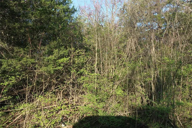 $20,000 | Undisclosed Address, Cedar Hill, MO 63016