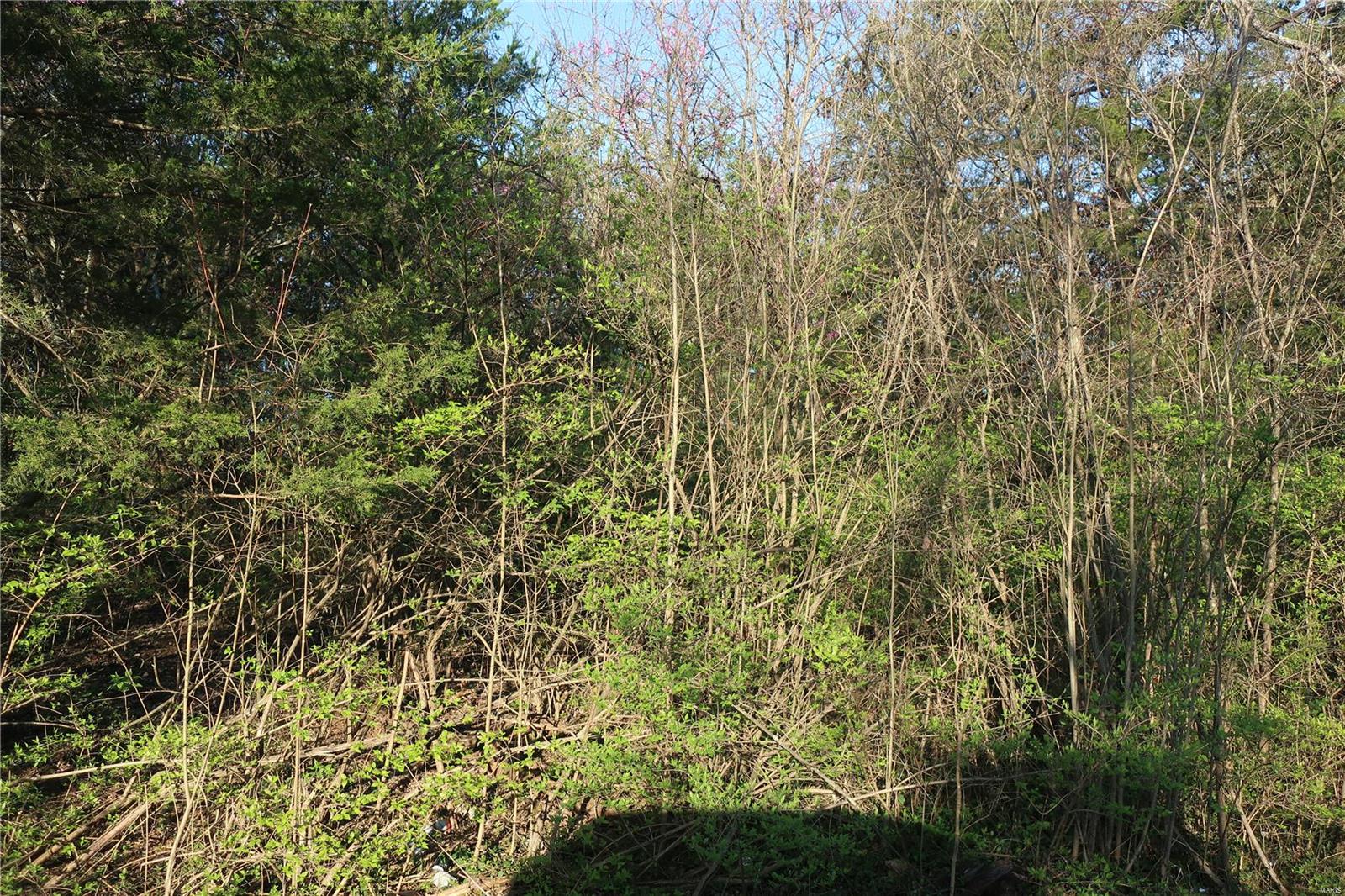 Undisclosed Address Cedar Hill, MO 63016 - Photo 5 of 7