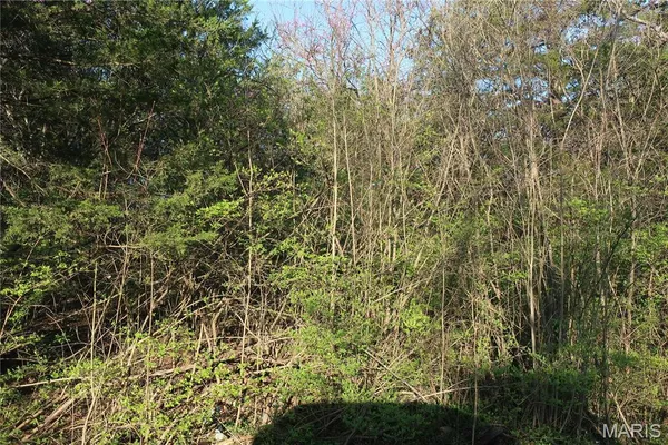 $16,000 | Undisclosed Address, Cedar Hill, MO 63016