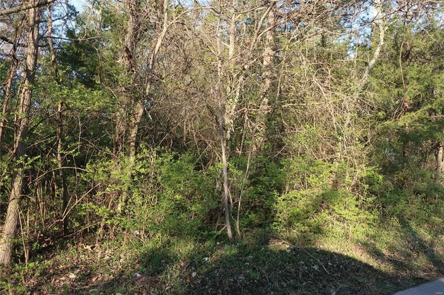 $20,000 | Undisclosed Address, Cedar Hill, MO 63016